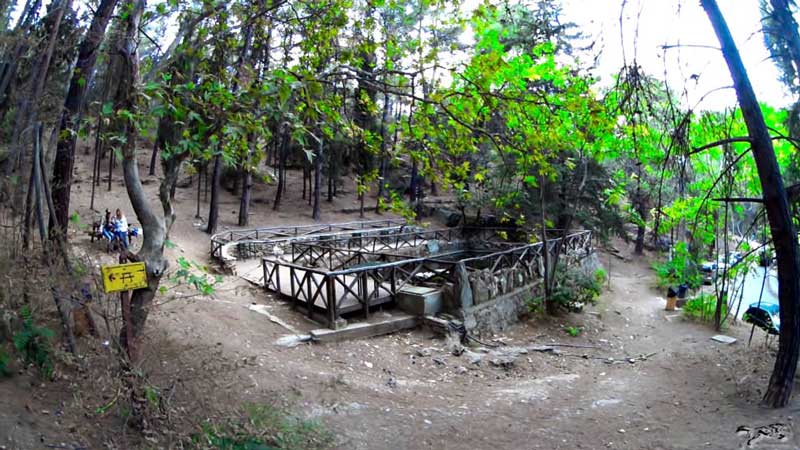 λιμνούλα-δάσος
