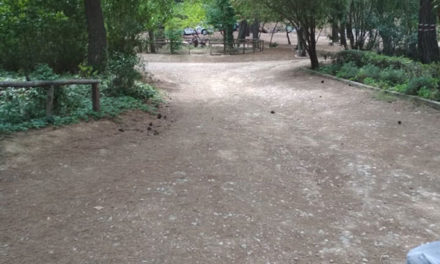 Βόλτα και πικ νικ στο βοτανικό κήπο στο Χαϊδάρι