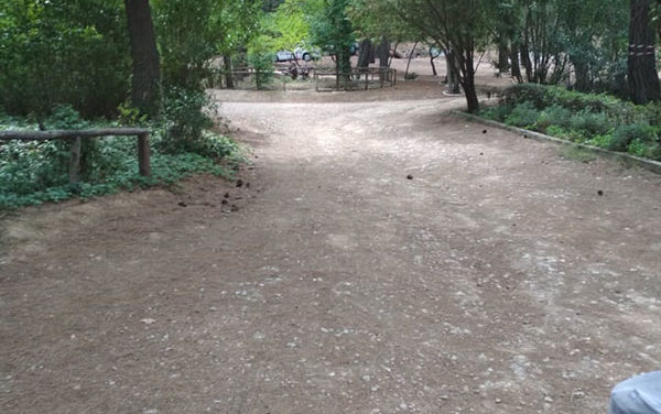 Βόλτα και πικ νικ στο βοτανικό κήπο στο Χαϊδάρι